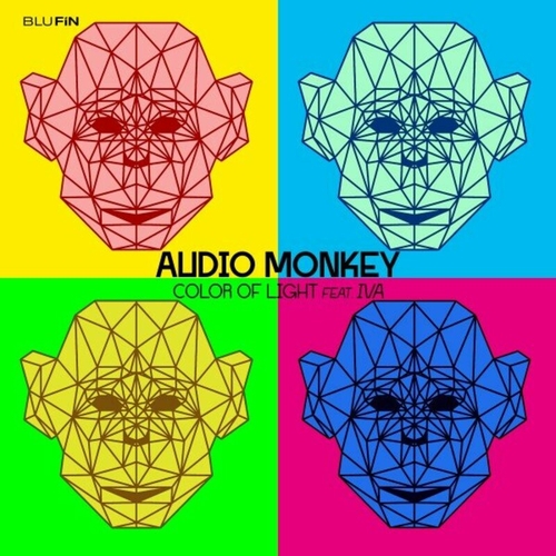 Audio Monkey - Color of Light [BF372]